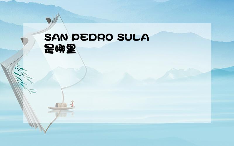 SAN PEDRO SULA是哪里