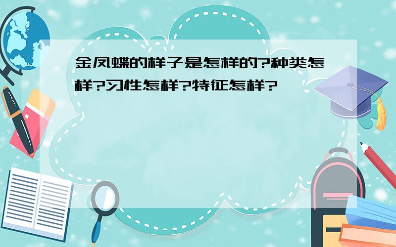 金凤蝶的样子是怎样的?种类怎样?习性怎样?特征怎样?