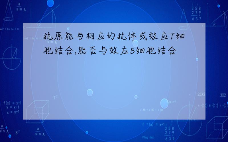 抗原能与相应的抗体或效应T细胞结合,能否与效应B细胞结合