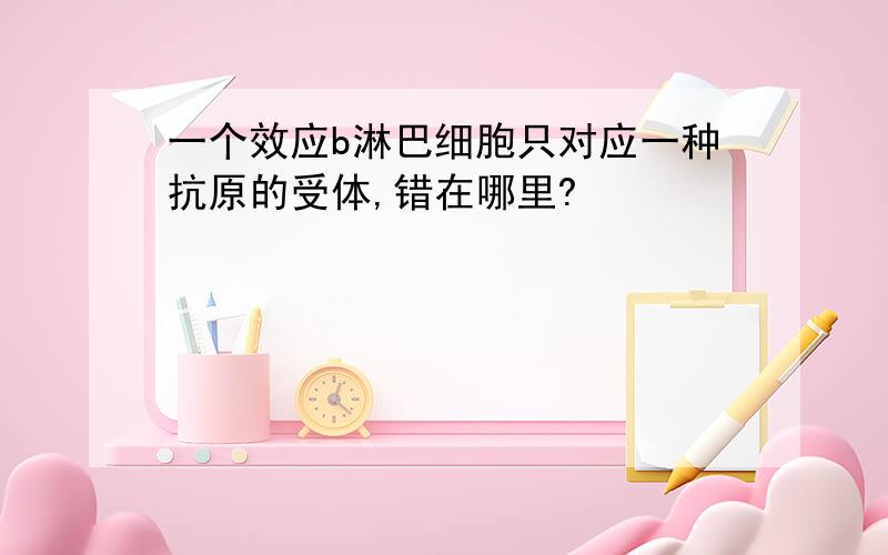 一个效应b淋巴细胞只对应一种抗原的受体,错在哪里?