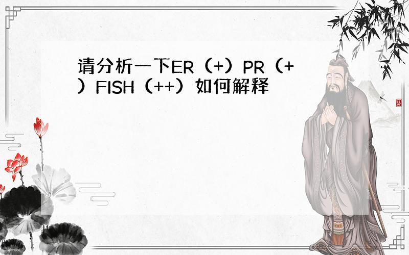 请分析一下ER（+）PR（+）FISH（++）如何解释