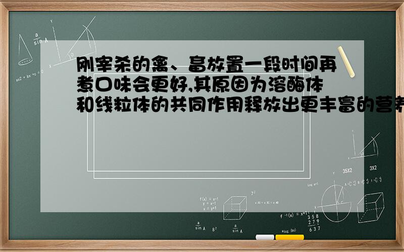 刚宰杀的禽、畜放置一段时间再煮口味会更好,其原因为溶酶体和线粒体的共同作用释放出更丰富的营养物质的缘故 这句话对吗?