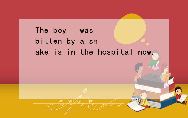 The boy___was bitten by a snake is in the hospital now.