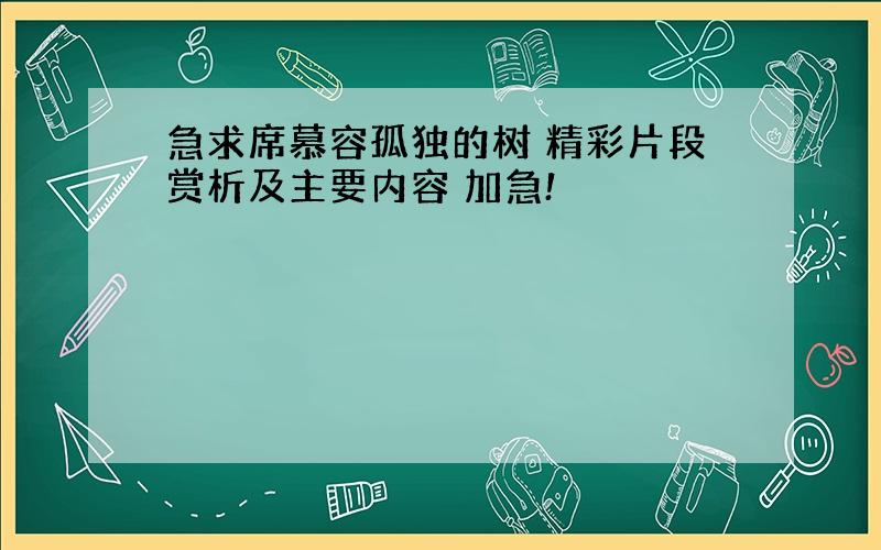 急求席慕容孤独的树 精彩片段赏析及主要内容 加急!