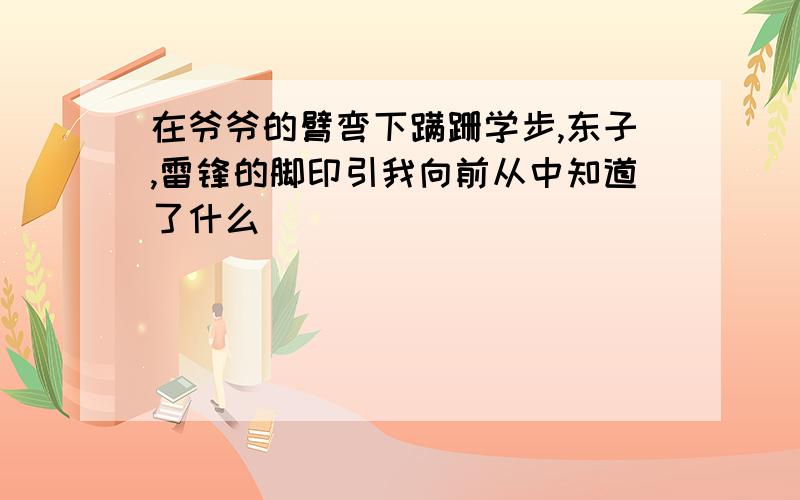 在爷爷的臂弯下蹒跚学步,东子,雷锋的脚印引我向前从中知道了什么