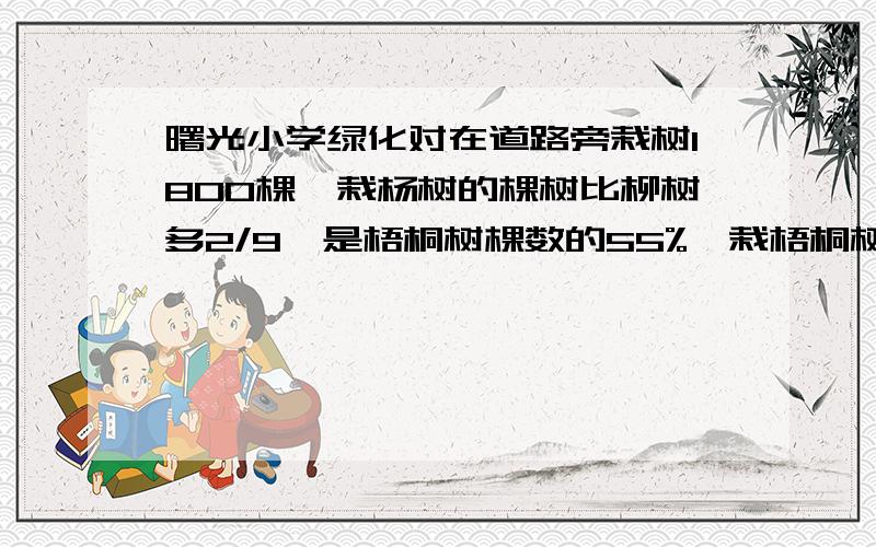 曙光小学绿化对在道路旁栽树1800棵,栽杨树的棵树比柳树多2/9,是梧桐树棵数的55%,栽梧桐树多少棵?