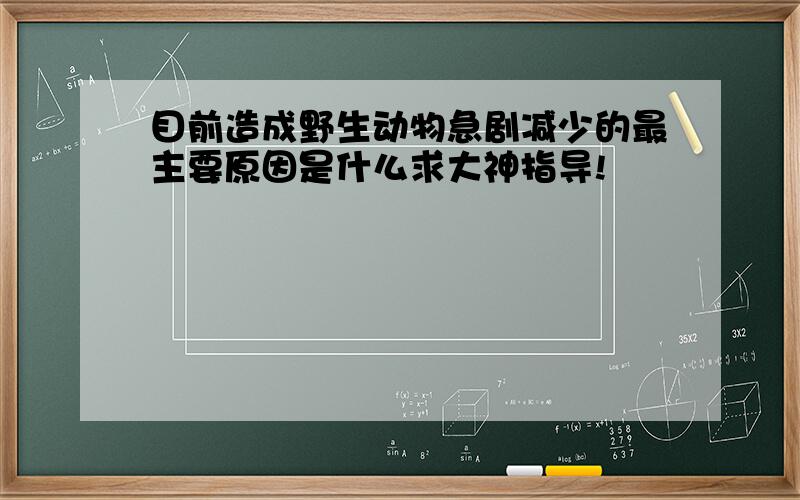 目前造成野生动物急剧减少的最主要原因是什么求大神指导!