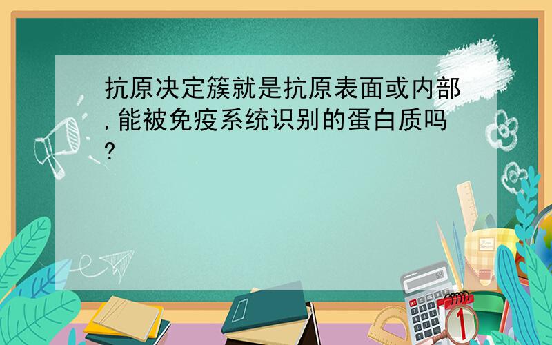 抗原决定簇就是抗原表面或内部,能被免疫系统识别的蛋白质吗?