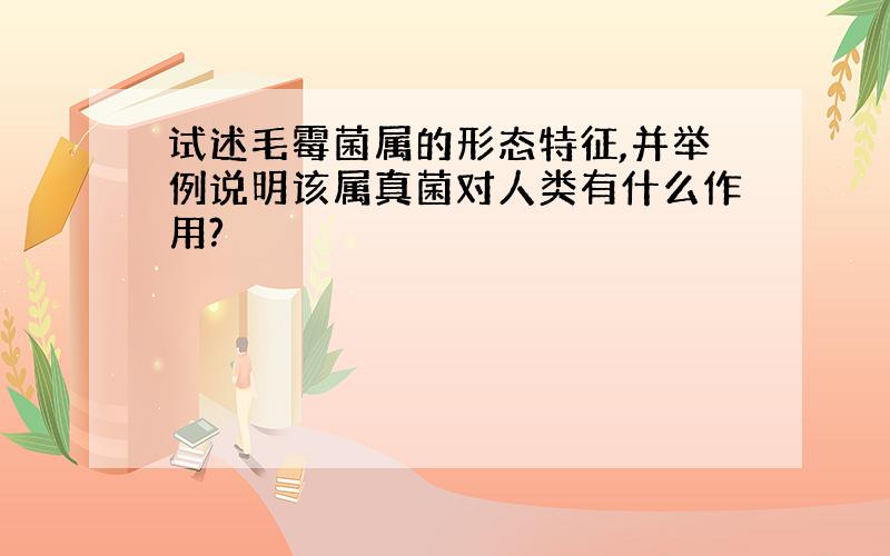 试述毛霉菌属的形态特征,并举例说明该属真菌对人类有什么作用?