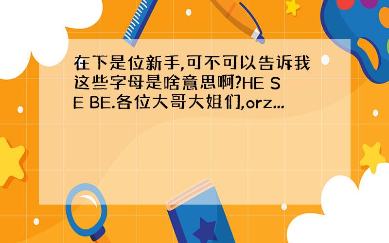 在下是位新手,可不可以告诉我这些字母是啥意思啊?HE SE BE.各位大哥大姐们,orz...