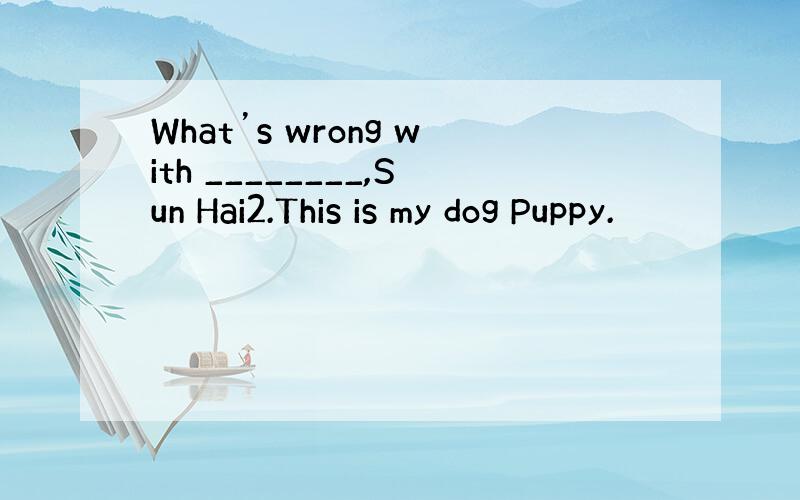 What’s wrong with ________,Sun Hai2.This is my dog Puppy.