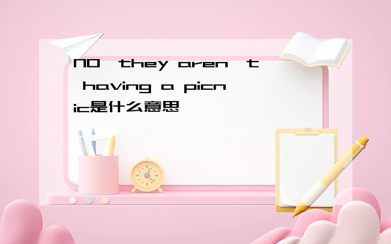 NO,they aren't having a picnic是什么意思