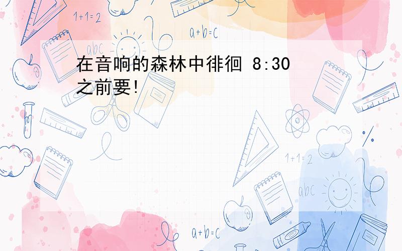 在音响的森林中徘徊 8:30之前要!