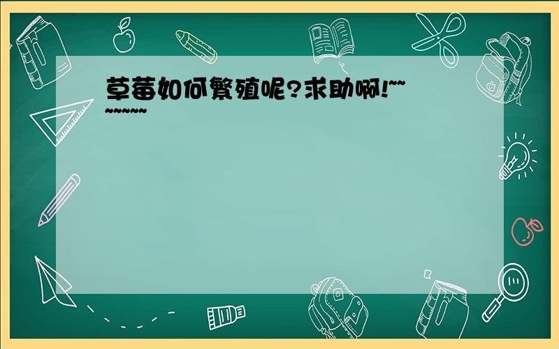 草莓如何繁殖呢?求助啊!~~~~~~~