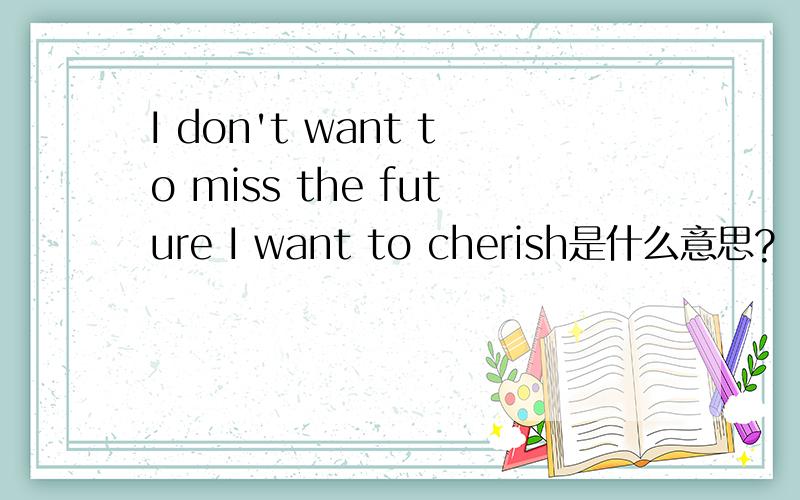 I don't want to miss the future I want to cherish是什么意思?