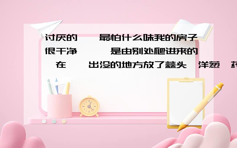 讨厌的曱甴最怕什么味我的房子很干净,曱甴是由别处爬进来的,在曱甴出没的地方放了蒜头、洋葱、药笔,不起效,请问蟑螂最怕什么