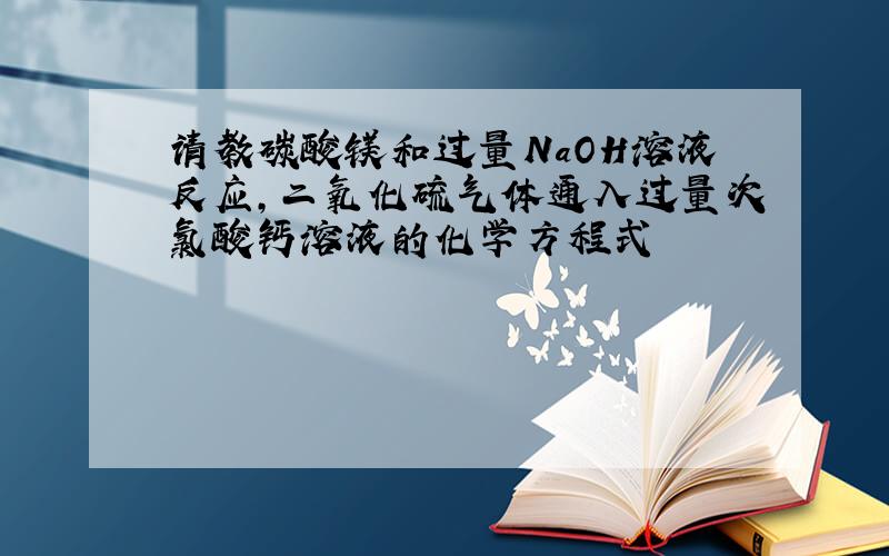 请教碳酸镁和过量NaOH溶液反应,二氧化硫气体通入过量次氯酸钙溶液的化学方程式