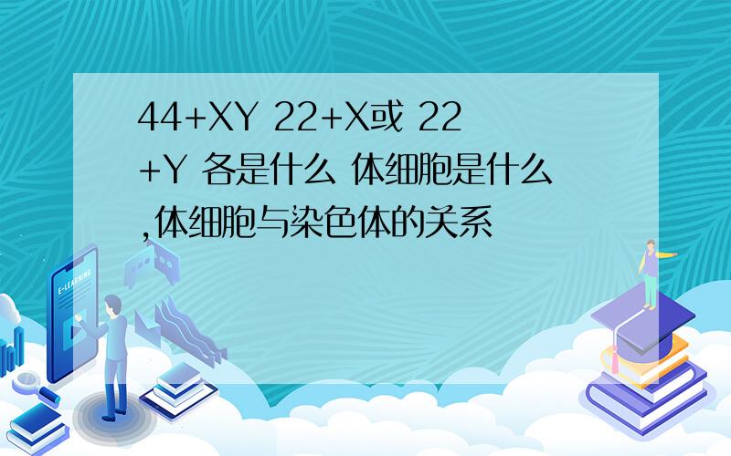 44+XY 22+X或 22+Y 各是什么 体细胞是什么,体细胞与染色体的关系