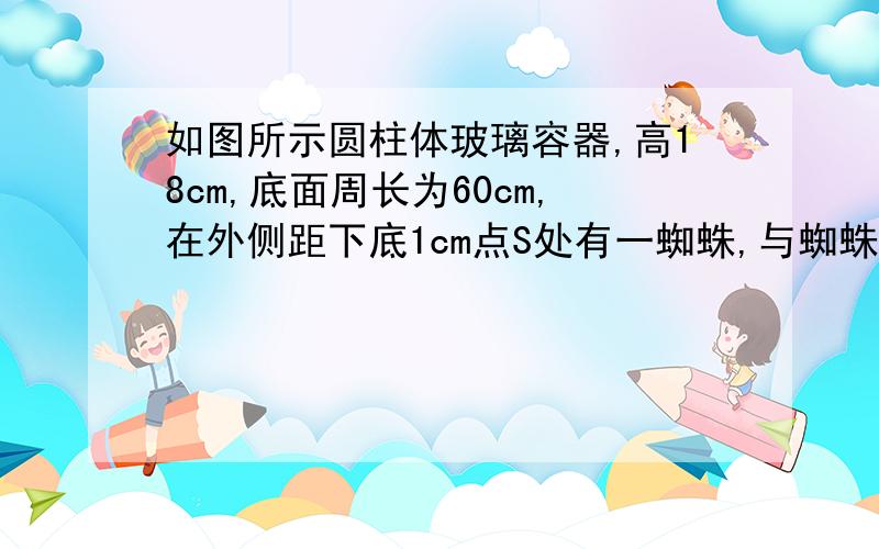 如图所示圆柱体玻璃容器,高18cm,底面周长为60cm,在外侧距下底1cm点S处有一蜘蛛,与蜘蛛相对的圆柱形容