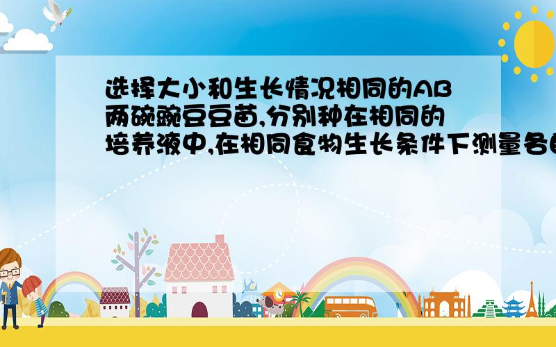 选择大小和生长情况相同的AB两碗豌豆豆苗,分别种在相同的培养液中,在相同食物生长条件下测量各自一天内