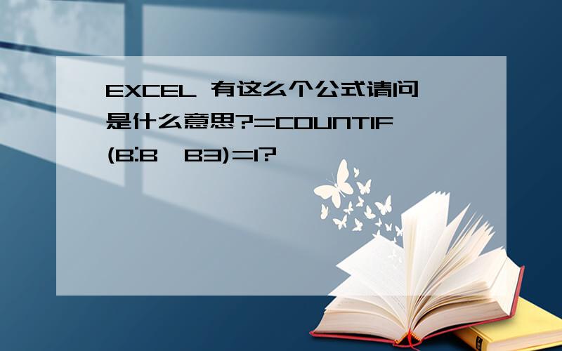 EXCEL 有这么个公式请问是什么意思?=COUNTIF(B:B,B3)=1?