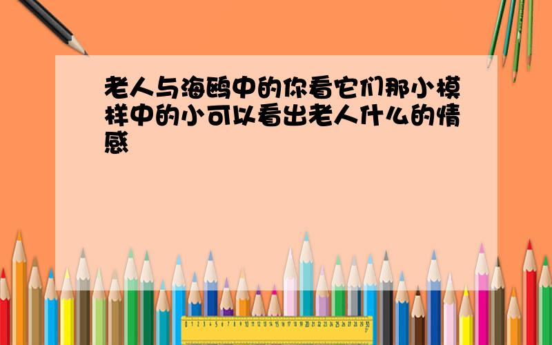 老人与海鸥中的你看它们那小模样中的小可以看出老人什么的情感