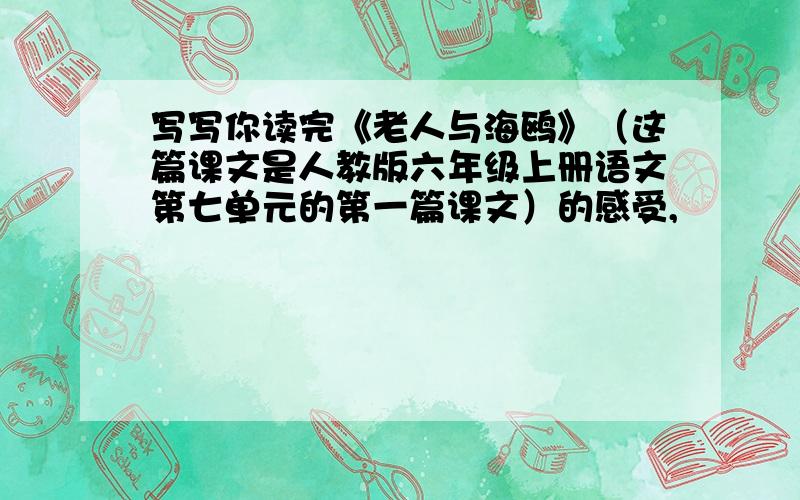 写写你读完《老人与海鸥》（这篇课文是人教版六年级上册语文第七单元的第一篇课文）的感受,