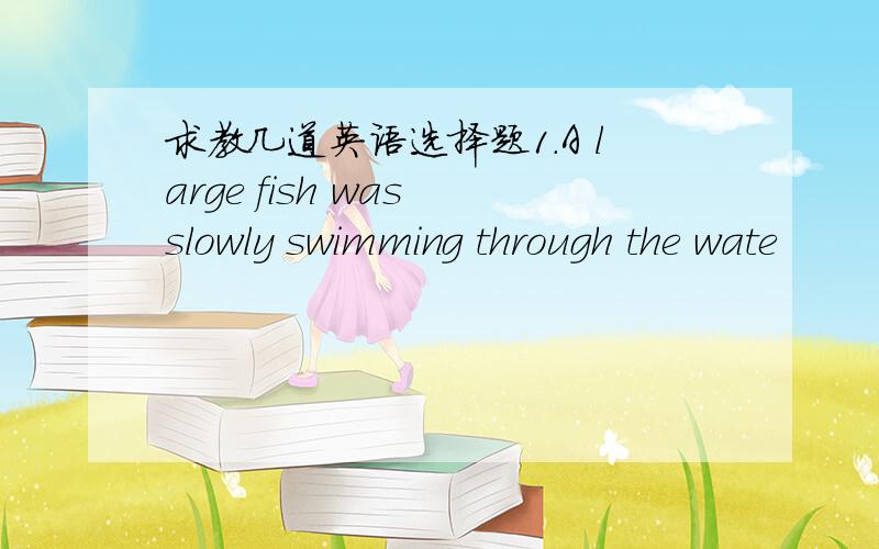 求教几道英语选择题1.A large fish was slowly swimming through the wate