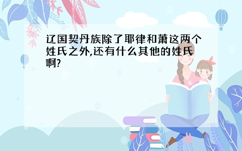 辽国契丹族除了耶律和萧这两个姓氏之外,还有什么其他的姓氏啊?