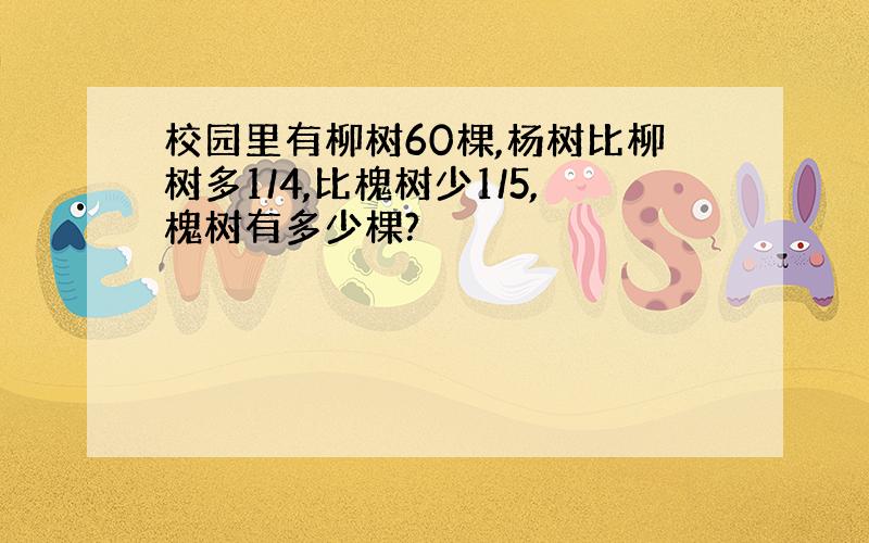 校园里有柳树60棵,杨树比柳树多1/4,比槐树少1/5,槐树有多少棵?