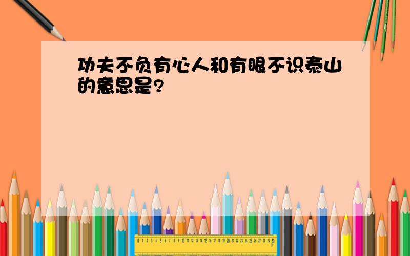 功夫不负有心人和有眼不识泰山的意思是?