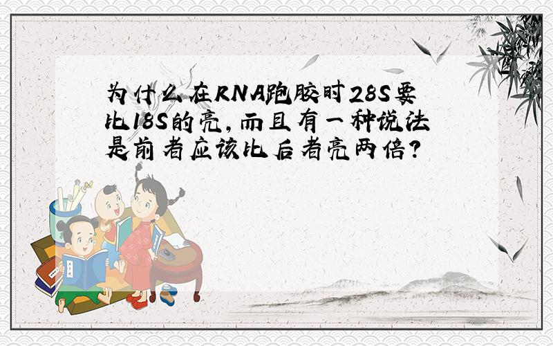 为什么在RNA跑胶时28S要比18S的亮,而且有一种说法是前者应该比后者亮两倍?