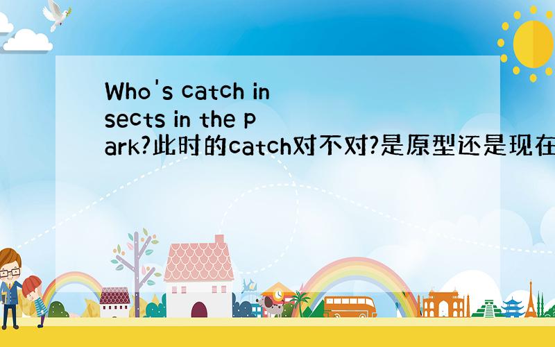 Who's catch insects in the park?此时的catch对不对?是原型还是现在进行时还是三单形式