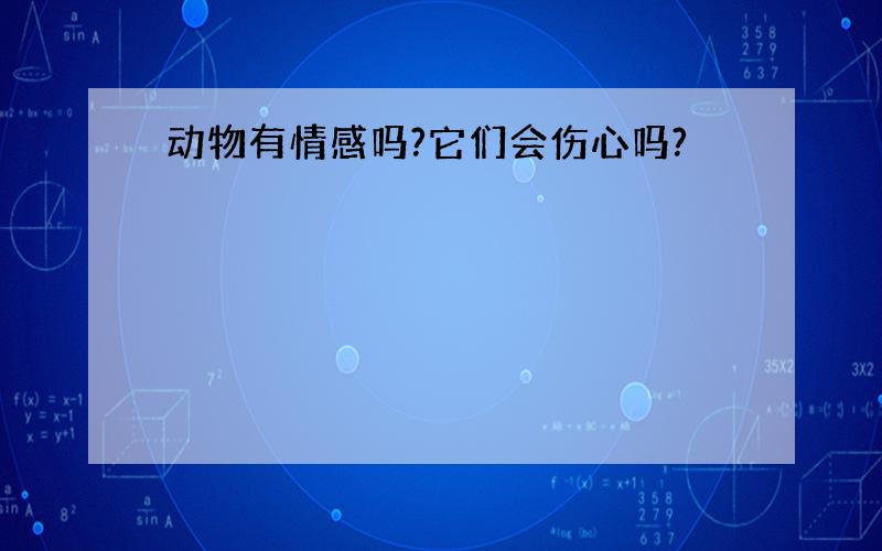 动物有情感吗?它们会伤心吗?