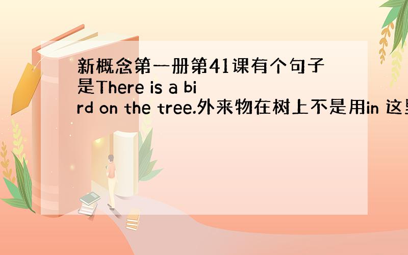 新概念第一册第41课有个句子是There is a bird on the tree.外来物在树上不是用in 这里为什么