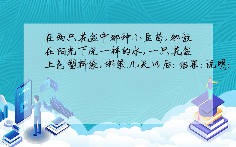 在两只花盆中都种小豆苗,都放在阳光下浇一样的水,一只花盆上包塑料袋,绑紧.几天以后：结果：说明：