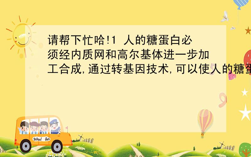 请帮下忙哈!1 人的糖蛋白必须经内质网和高尔基体进一步加工合成,通过转基因技术,可以使人的糖蛋白基因得以表达的受体细胞是