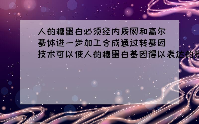 人的糖蛋白必须经内质网和高尔基体进一步加工合成通过转基因技术可以使人的糖蛋白基因得以表达的授体细胞