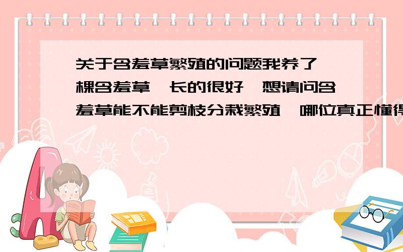 关于含羞草繁殖的问题我养了一棵含羞草,长的很好,想请问含羞草能不能剪枝分栽繁殖,哪位真正懂得含羞草繁殖方法的帮帮我,