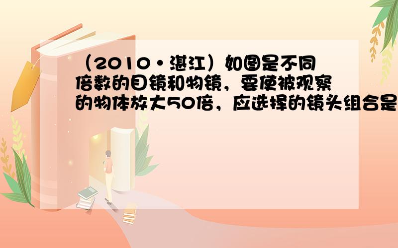 （2010•湛江）如图是不同倍数的目镜和物镜，要使被观察的物体放大50倍，应选择的镜头组合是（　　）