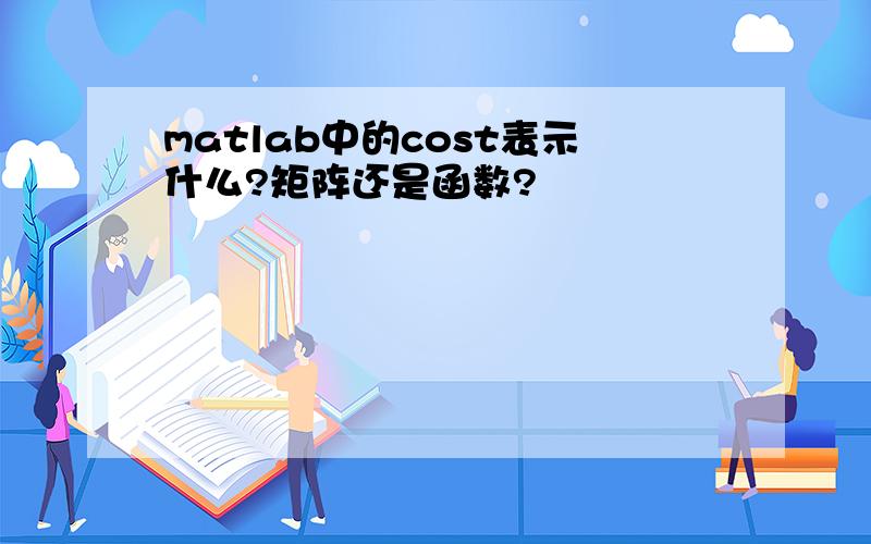 matlab中的cost表示什么?矩阵还是函数?