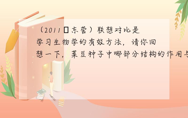 （2011•东营）联想对比是学习生物学的有效方法，请你回想一下，菜豆种子中哪部分结构的作用与鸟卵卵黄的功能相似（　　）