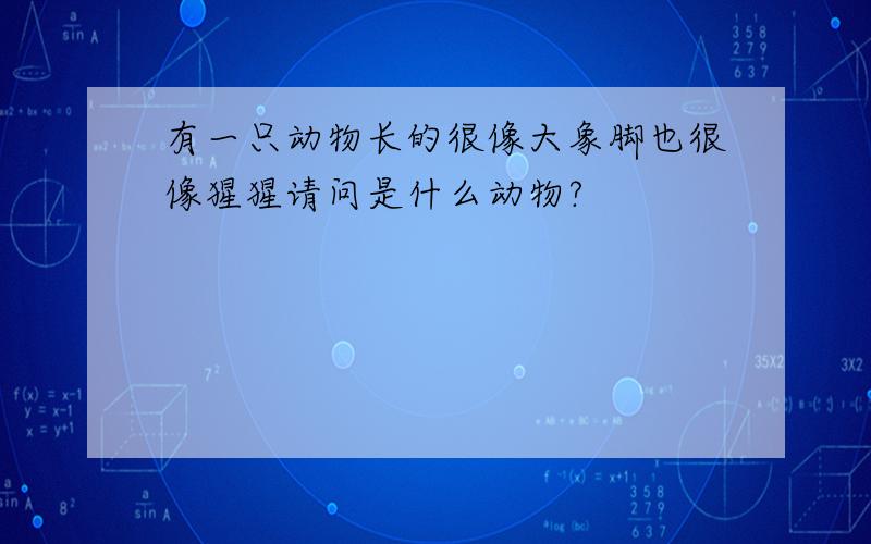 有一只动物长的很像大象脚也很像猩猩请问是什么动物?