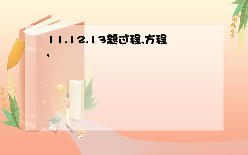 11.12.13题过程,方程,