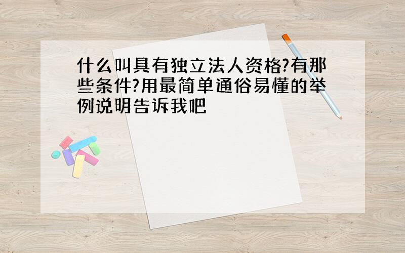 什么叫具有独立法人资格?有那些条件?用最简单通俗易懂的举例说明告诉我吧