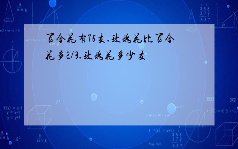 百合花有75支,玫瑰花比百合花多2/3,玫瑰花多少支