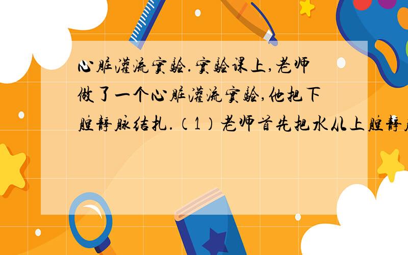 心脏灌流实验.实验课上,老师做了一个心脏灌流实验,他把下腔静脉结扎.（1）老师首先把水从上腔静脉灌入,你会看到水从（ ）