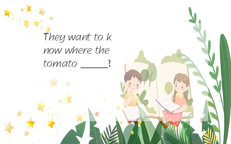 They want to know where the tomato _____?