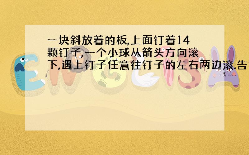 一块斜放着的板,上面钉着14颗钉子,一个小球从箭头方向滚下,遇上钉子任意往钉子的左右两边滚.告诉方法啊!