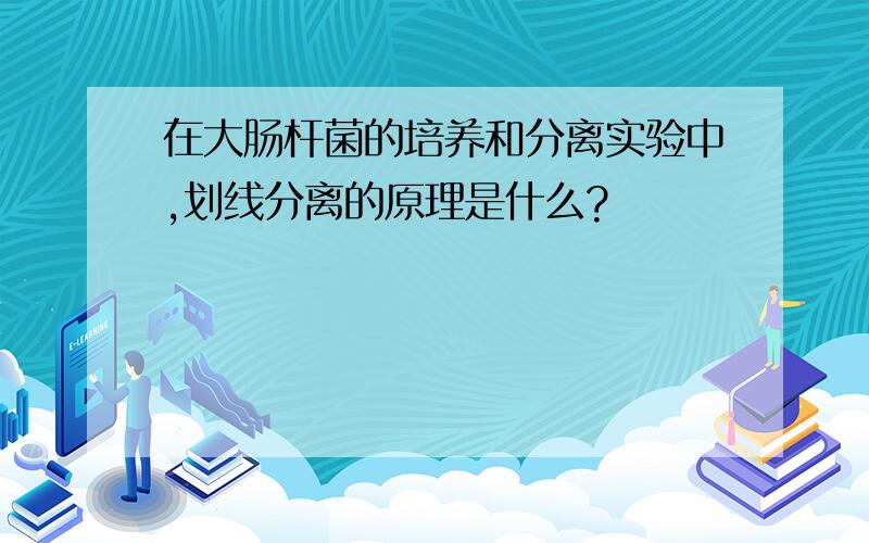 在大肠杆菌的培养和分离实验中,划线分离的原理是什么?